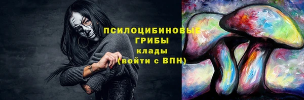 индика Абаза