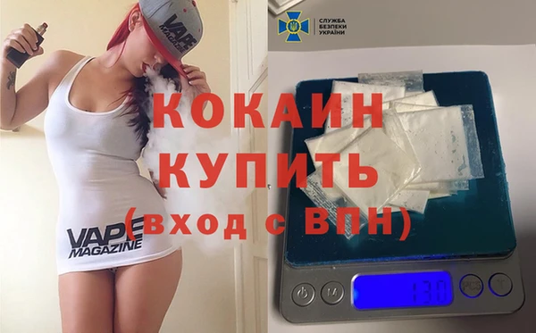 индика Абаза