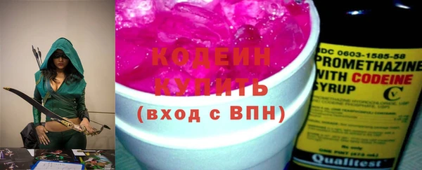 индика Абаза