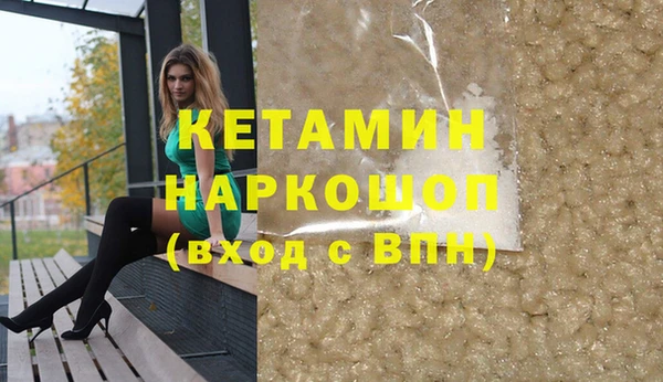 индика Абаза