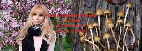 гашик Абинск