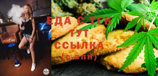 индика Абаза