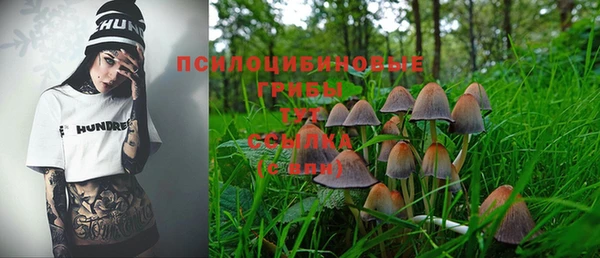 ешки Протвино