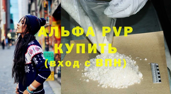 индика Абаза
