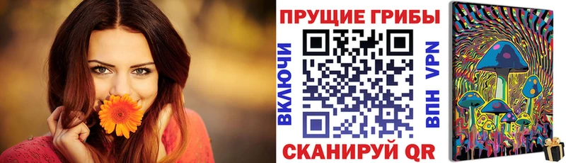 Псилоцибиновые грибы Magic Shrooms  Красавино 